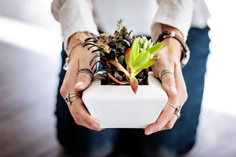 Flower pot